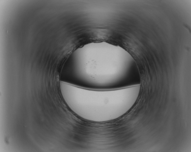 X0000097870425200803140922