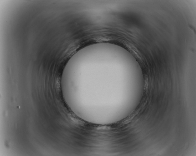 X0000097870426200803140922