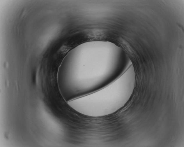 X0000097870429200803140922