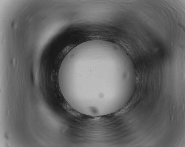 X0000097870430200803140922