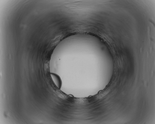 X0000097870432200803140922
