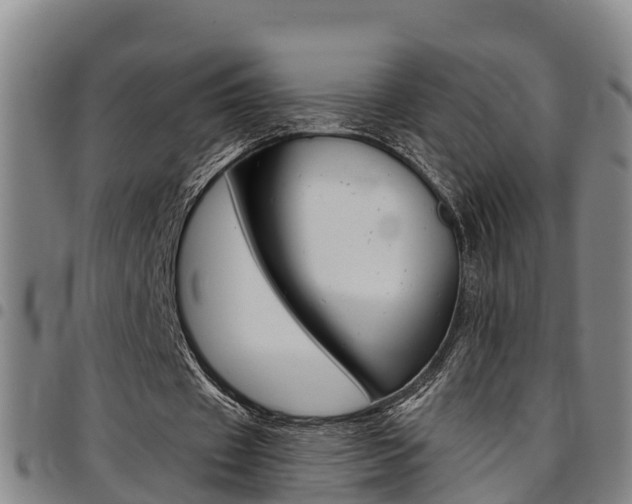 X0000097870433200803140921