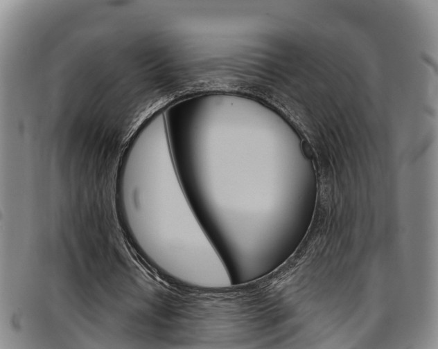 X0000097870434200803140921
