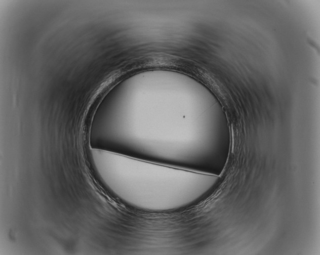X0000097870435200803140921