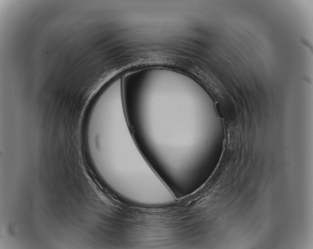 X0000097870436200803140921