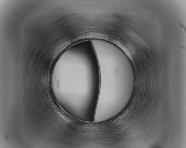 X0000097870437200803140921