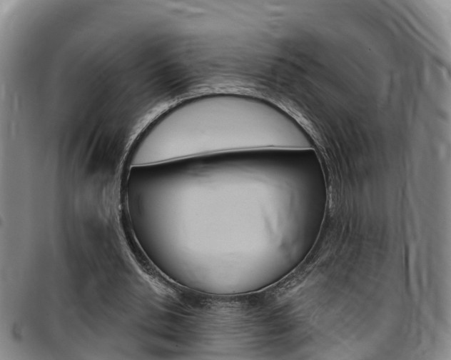 X0000097870438200803140921