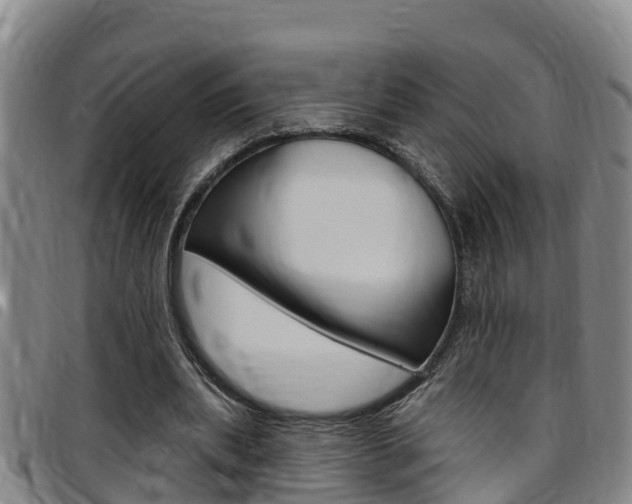 X0000097870439200803140921
