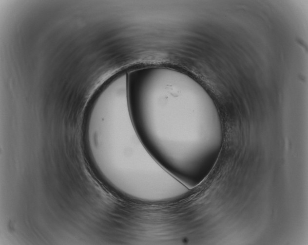 X0000097870440200803140921