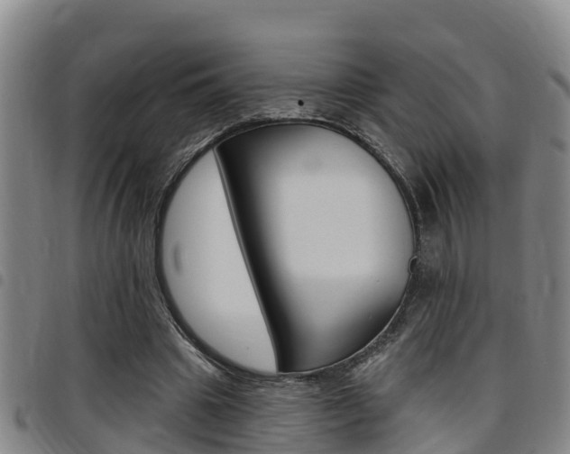 X0000097870441200803140921