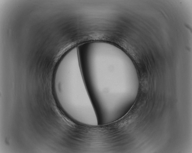 X0000097870442200803140921