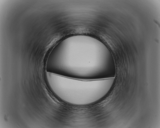 X0000097870443200803140921