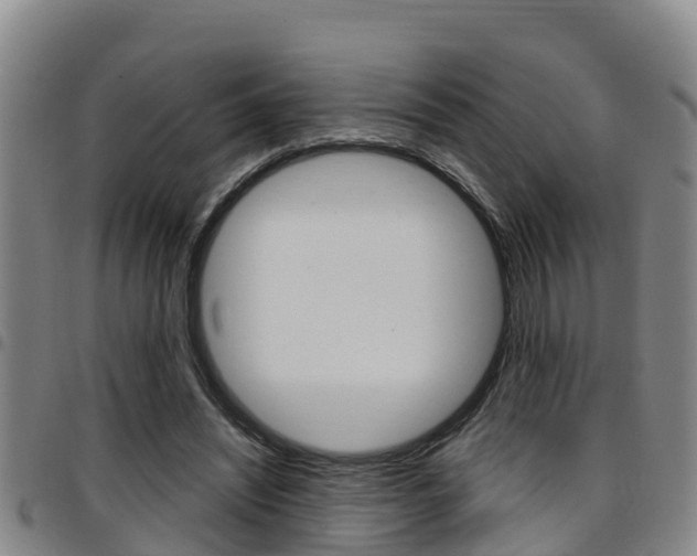 X0000097870444200803140921