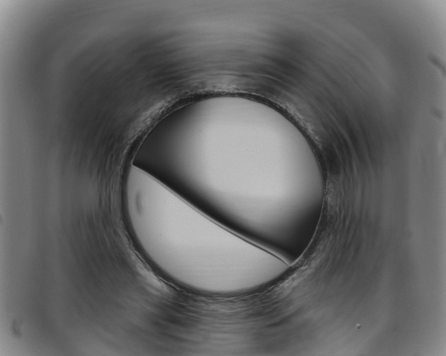 X0000097870445200803140921