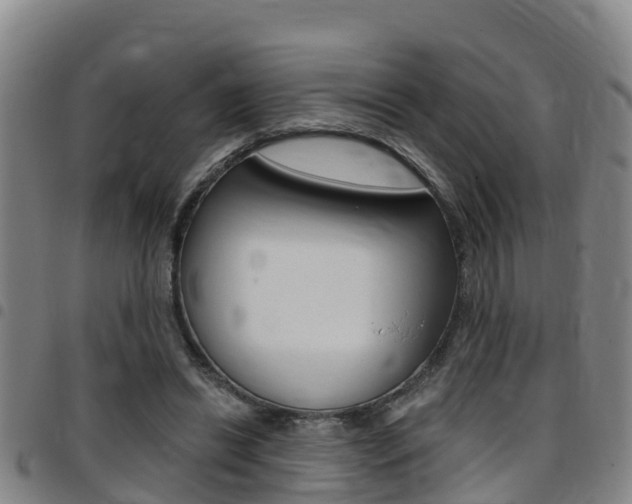 X0000097870446200803140921
