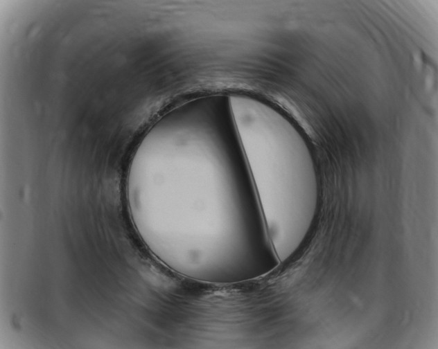 X0000097870447200803140921