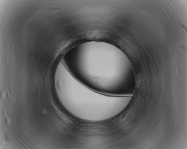 X0000097870448200803140921