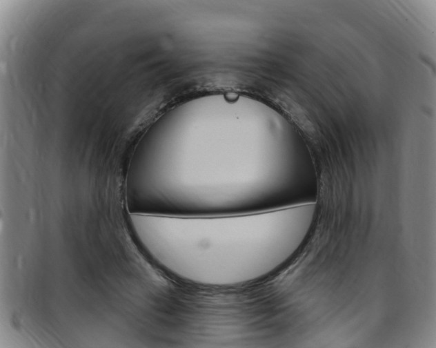 X0000097870449200803140921