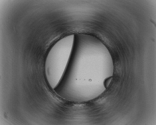 X0000097870450200803140921