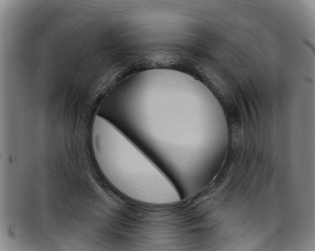 X0000097870451200803140921