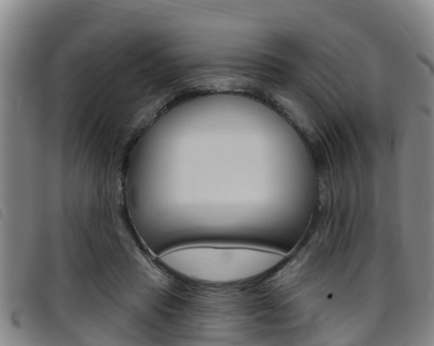X0000097870453200803140921