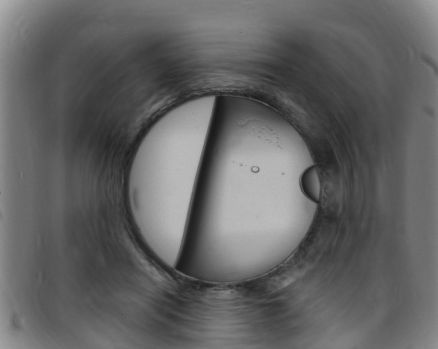 X0000097870454200803140921