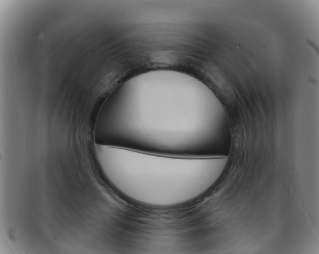 X0000097870455200803140921