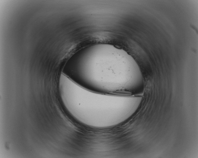 X0000097870456200803140922