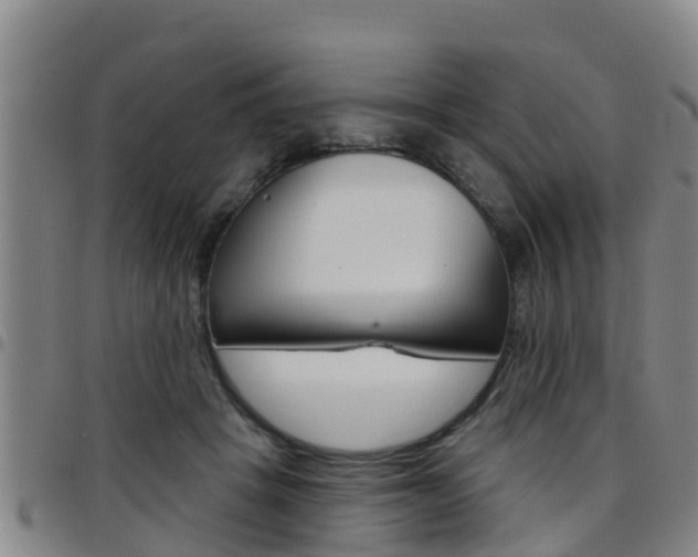 X0000097870457200803140922