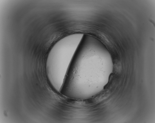 X0000097870458200803140922
