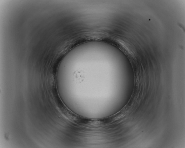 X0000097870459200803140922