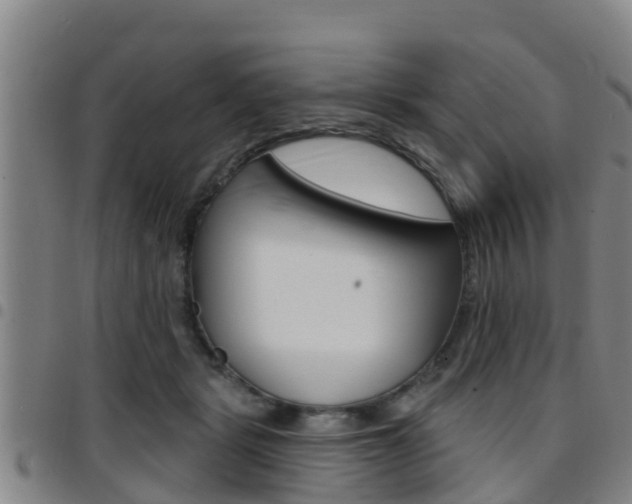 X0000097870461200803140922