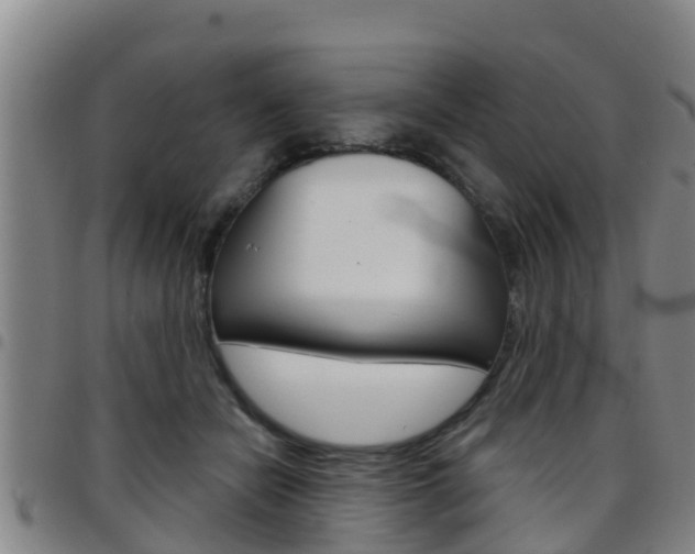 X0000097870462200803140922