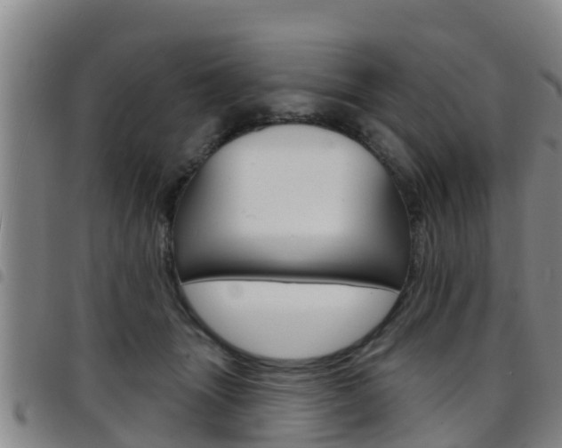 X0000097870463200803140922