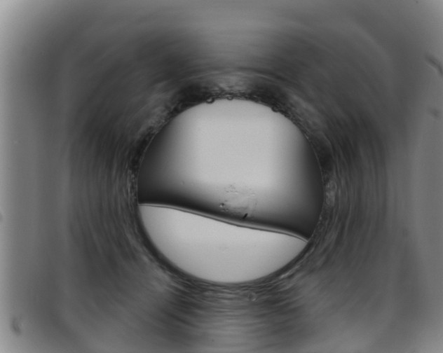 X0000097870464200803140922