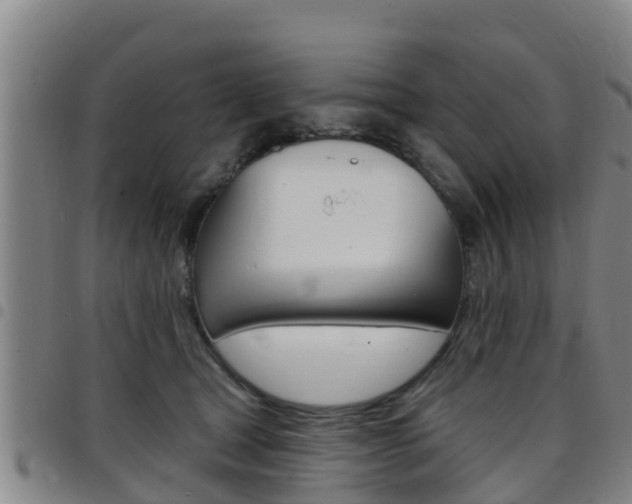 X0000097870465200803140922