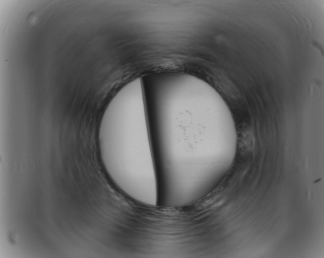 X0000097870466200803140922