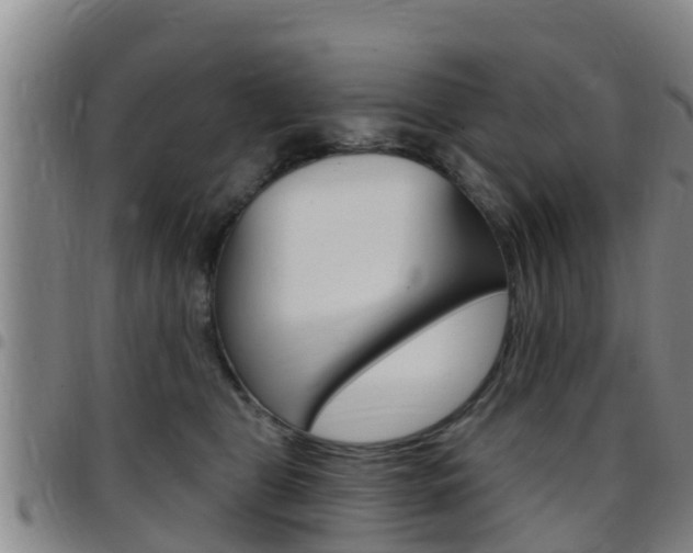 X0000097870469200803140922