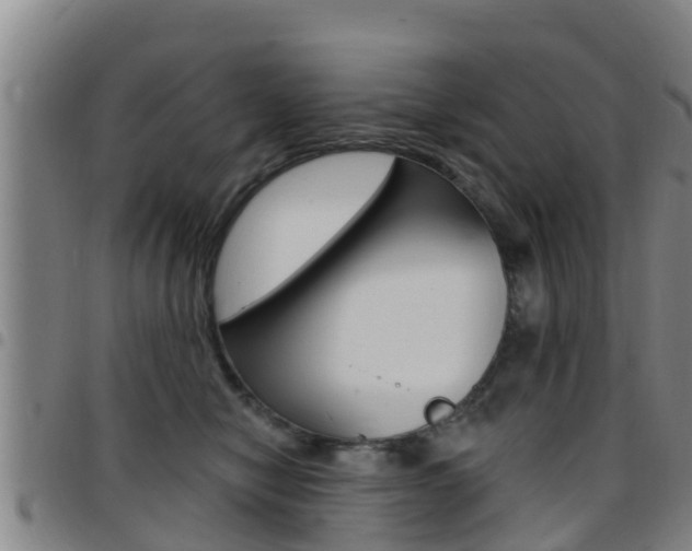 X0000097870470200803140922