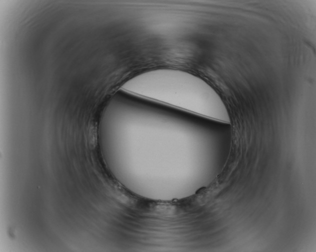 X0000097870471200803140922