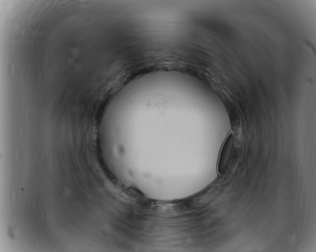 X0000097870472200803140922
