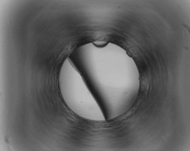 X0000097870473200803140922