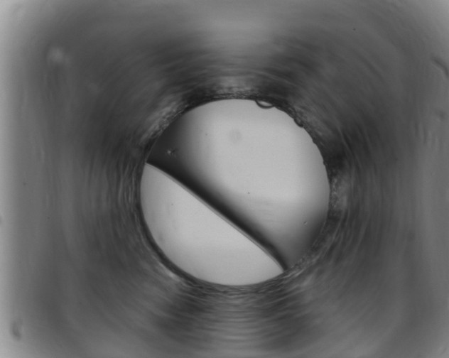 X0000097870474200803140922