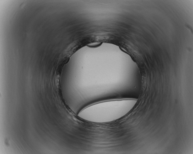 X0000097870475200803140922