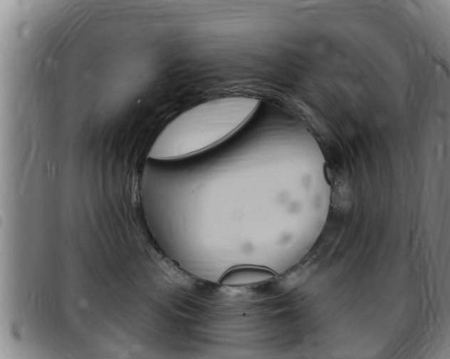 X0000097870477200803140922