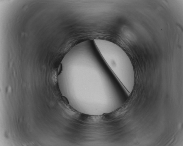 X0000097870479200803140922