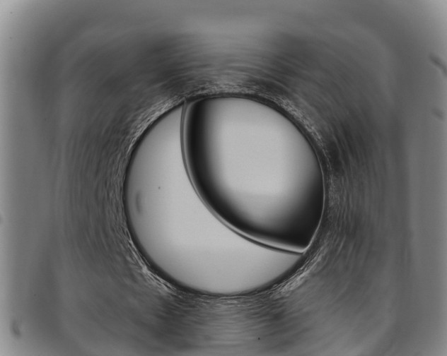 X0000097870481200803140921