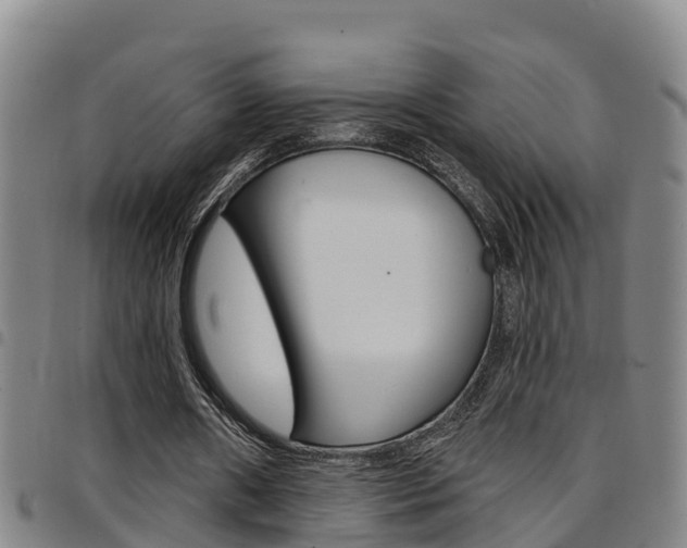 X0000097870482200803140921