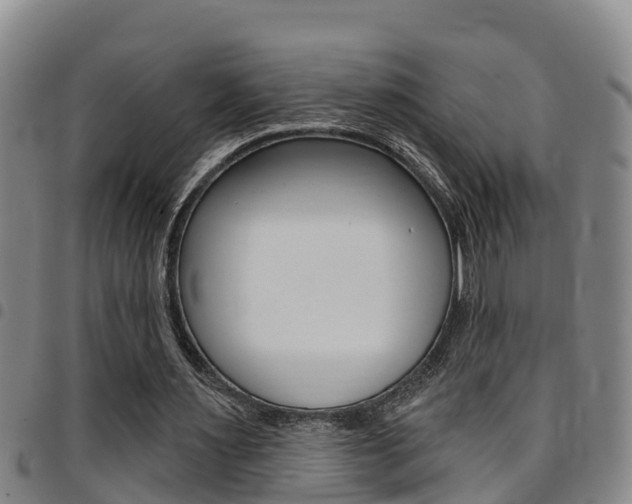 X0000097870483200803140921