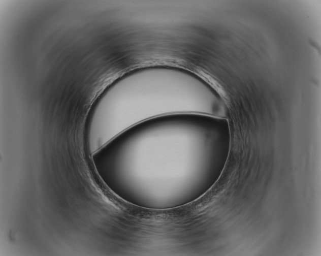 X0000097870485200803140921